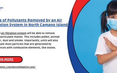 Types of Pollutants Removed by an Air Filtration System in North Camano Island