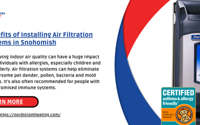 Benefits of Installing Air Filtration Systems in Snohomish