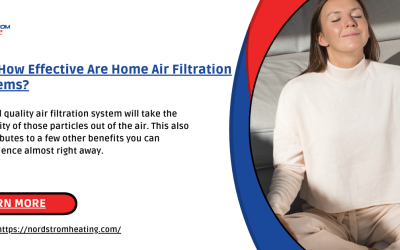 Just How Effective Are Home Air Filtration Systems?